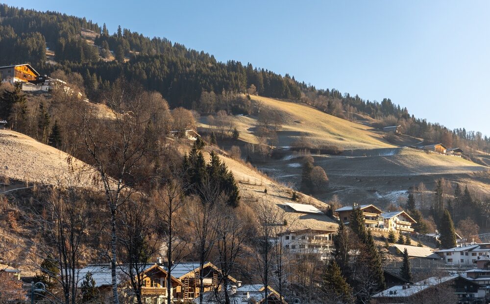 Neve alpina e suoli aridi