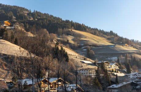 Neve alpina e suoli aridi
