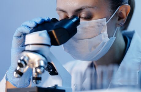 Ricerca Ifom su cellule staminali ematopoietiche