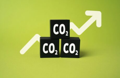 Grafico del mercato delle emissioni di CO2