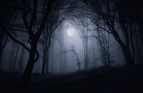 Silent Hill: Townfall - Gameplay in prima persona