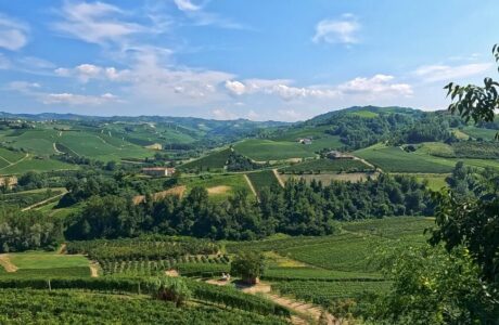 Sacchi Beer Fest a Cuneo